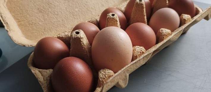 В Пензенской области подешевели некоторые продукты В Пензенской области подешевели некоторые продукты