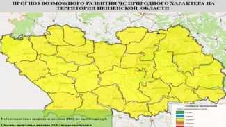 Жителей Пензенской области предупреждают о высокой пожароопасности 10 сентября