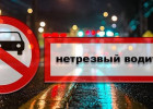 За выходные в Пензенской области поймали около 30 нетрезвых автомобилистов