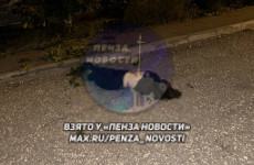 Гибель подростка в Пензе: трагическим инцидентом заинтересовалась прокуратура