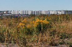 Октябрьские законы: что меняется для пензенцев в сфере налогов, кредитов и соцподдержки Октябрьские законы: что меняется для пензенцев в сфере налогов, кредитов и соцподдержки