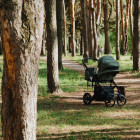 Пензенским родителям рассказали, где бесплатно арендовать товары для новорождённых
