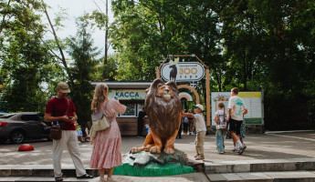 В пензенском зоопарке появятся новые обезьяны и даурский журавль