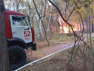 Причиной пожара в детском лагере в Пензенской области мог стать поджог – МЧС