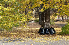 Глава Пензы принял участие в масштабном субботнике по озеленению города