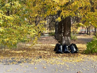 Глава Пензы принял участие в масштабном субботнике по озеленению города