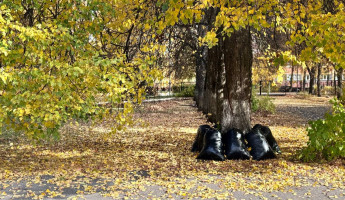 Глава Пензы принял участие в масштабном субботнике по озеленению города Глава Пензы принял участие в масштабном субботнике по озеленению города