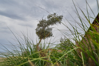 Какая погода ожидает пензенцев 15 октября?