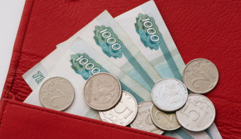 Менее 16 тысяч: пензенские власти установили размер прожиточного минимума на 2026 год