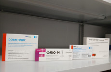 Пензенская область получила последнюю партию вакцины от гриппа Пензенская область получила последнюю партию вакцины от гриппа