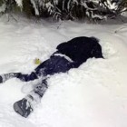 Житель Пензенской области насмерть замерз на оживленной трассе 