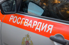 В Пензе на краже дорогого алкоголя попался молодой мужчина В Пензе на краже дорогого алкоголя попался молодой мужчина