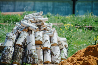Пензенские парламентарии приняли новую меру поддержки для семей участников СВО
