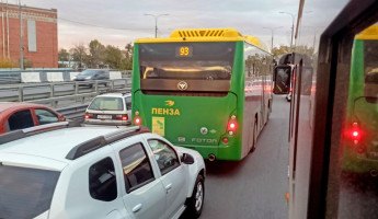 Пензенцы смогут в прямом эфире спросить о ремонте дорог и работе общественного транспорта Пензенцы смогут в прямом эфире спросить о ремонте дорог и работе общественного транспорта