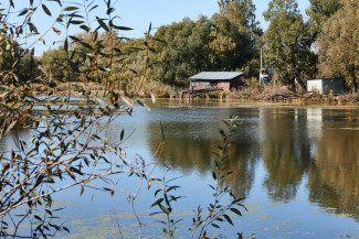 Индивидуальный предприниматель очистит семь водоёмов Пензы
