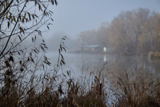 Какая погода ожидается в Пензенской области 30 октября?