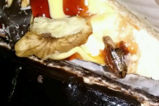 Пензенцы «отведали» в популярном кафе пирожное с тараканами внутри 