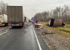 На трассе в Пензенской области водитель вышел из фуры и погиб