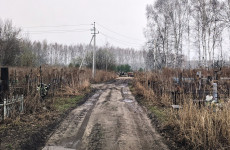 Все кладбища домашних животных в Пензе объявили незаконными Все кладбища домашних животных в Пензе объявили незаконными