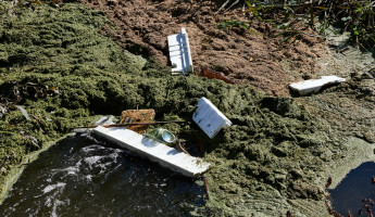 Около 5 тыс. пензенцев очистили берега водоёмов Около 5 тыс. пензенцев очистили берега водоёмов