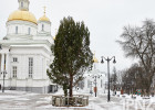 Для установки ели на Соборной площади в Пензе из бюджета выделят 130 тысяч рублей
