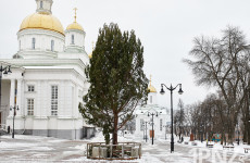 Для установки ели на Соборной площади в Пензе из бюджета выделят 130 тысяч рублей