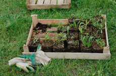 Комбинат Шалимова снова выиграл аукцион на ландшафтную организацию Заречного без конкуренции Комбинат Шалимова снова выиграл аукцион на ландшафтную организацию Заречного без конкуренции