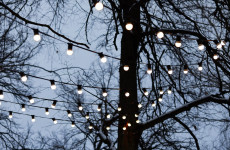 Пензенцы заплатят штраф за неправильное украшение дома гирляндами