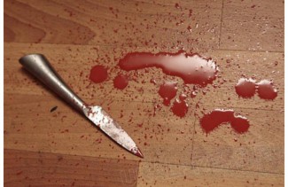 Жительница Пензенской области при помощи ножа одного товарища убила, а второго покалечила 