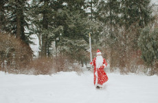 18 ноября Дед Мороз принимает звонки от пензенских детей 18 ноября Дед Мороз принимает звонки от пензенских детей