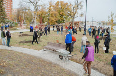 «Не прижились». УЖКХ Пензы объяснило гибель высаженных в Арбекове деревьев «Не прижились». УЖКХ Пензы объяснило гибель высаженных в Арбекове деревьев