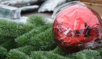 Новую главную елку доставили в Пензу: монтаж уже начался