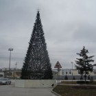 В Пензе установлена первая новогодняя елка 