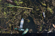 Суру не могут расчистить быстро: в пензенском минлесхозе объяснили, в чем проблема Суру не могут расчистить быстро: в пензенском минлесхозе объяснили, в чем проблема