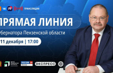 Большая прямая линия в Пензе: как отправить вопрос главе региона Большая прямая линия в Пензе: как отправить вопрос главе региона