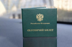 Экзамен и поручители: пензенцам станет намного сложнее получить охотничий билет