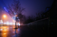 Густой туман накроет Пензу и область 29 ноября