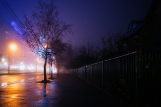 Густой туман накроет Пензу и область 29 ноября