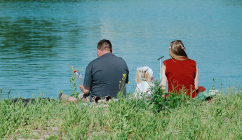 В Пензе семьям участников СВО начнут выдавать молочную продукцию для малышей В Пензе семьям участников СВО начнут выдавать молочную продукцию для малышей