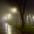 Пензенцев предупреждают о сильном тумане 30 ноября