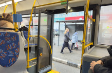 Остановка без остановки: пензенских перевозчиков уличили в грубых нарушениях Остановка без остановки: пензенских перевозчиков уличили в грубых нарушениях