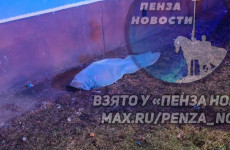 На проспекте Победы в Пензе при падении с 5 этажа погибла женщина
