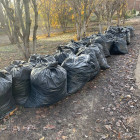 Пензенскую область готовят к Новому году: стартовал масштабный месячник чистоты