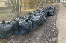 Пензенскую область готовят к Новому году: стартовал масштабный месячник чистоты Пензенскую область готовят к Новому году: стартовал масштабный месячник чистоты