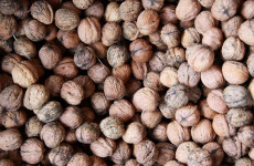 Что везут в Пензенскую область? Названы объёмы подкарантинных грузов за месяц Что везут в Пензенскую область? Названы объёмы подкарантинных грузов за месяц