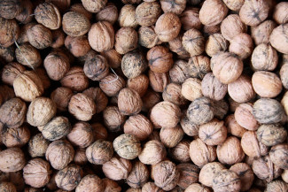 Что везут в Пензенскую область? Названы объёмы подкарантинных грузов за месяц