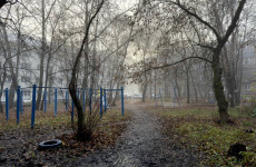 Суббота встретит пензенцев туманом, дождем и снегом Суббота встретит пензенцев туманом, дождем и снегом