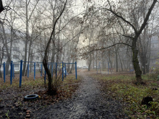 Суббота встретит пензенцев туманом, дождем и снегом