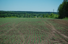 В одном из районов Пензенской области вскрыли нарушения при работе с пестицидами В одном из районов Пензенской области вскрыли нарушения при работе с пестицидами
