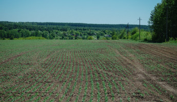 В одном из районов Пензенской области вскрыли нарушения при работе с пестицидами